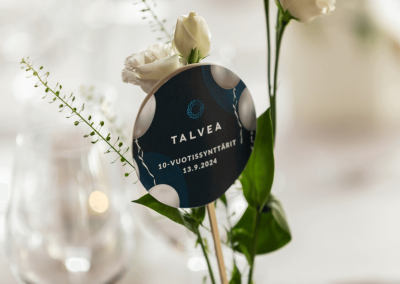 Tunnelmia TALVEAn 10-vuotissynttäreiltä